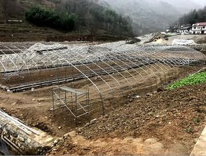 佛坪县食用菌生产基地正式建成投产，菌种培育技术水平提升产业前景广阔