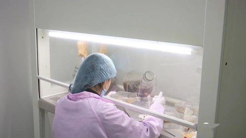 安龙 加强菌种研发培育 助力食用菌产业高质量发展